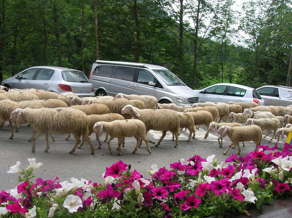Hotel Spampatti Castione della Presolana Bagian luar foto